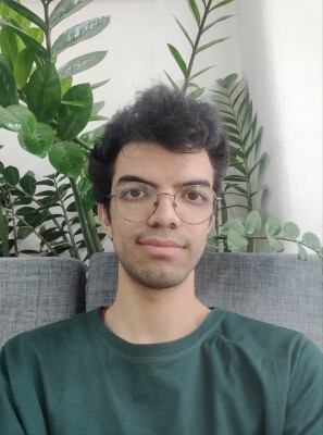 Soroush  is looking for a Rental Property / Apartment / Studio / Room in Delft